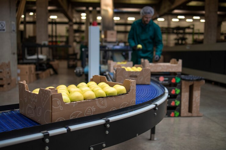 Turntable Wrapping Equipment and Its Impact on Product Protection During Transit